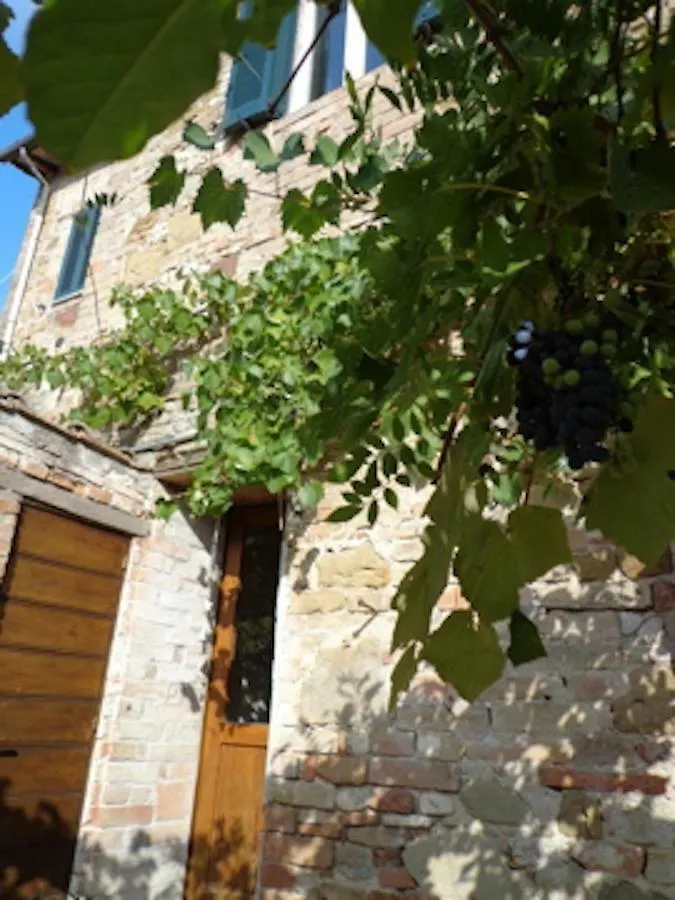 Le Rondini Apartment Petrignano