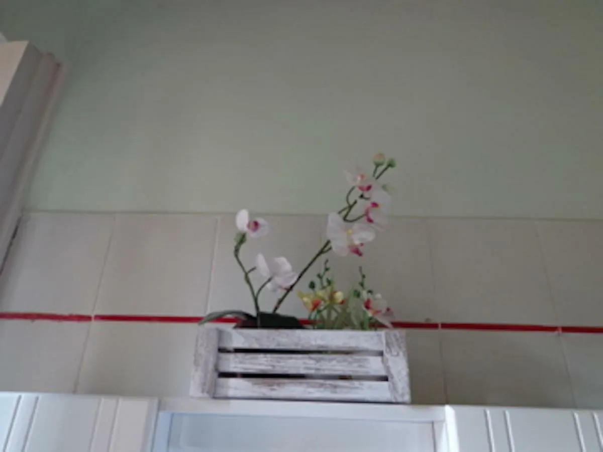 Le Rondini Apartment Petrignano